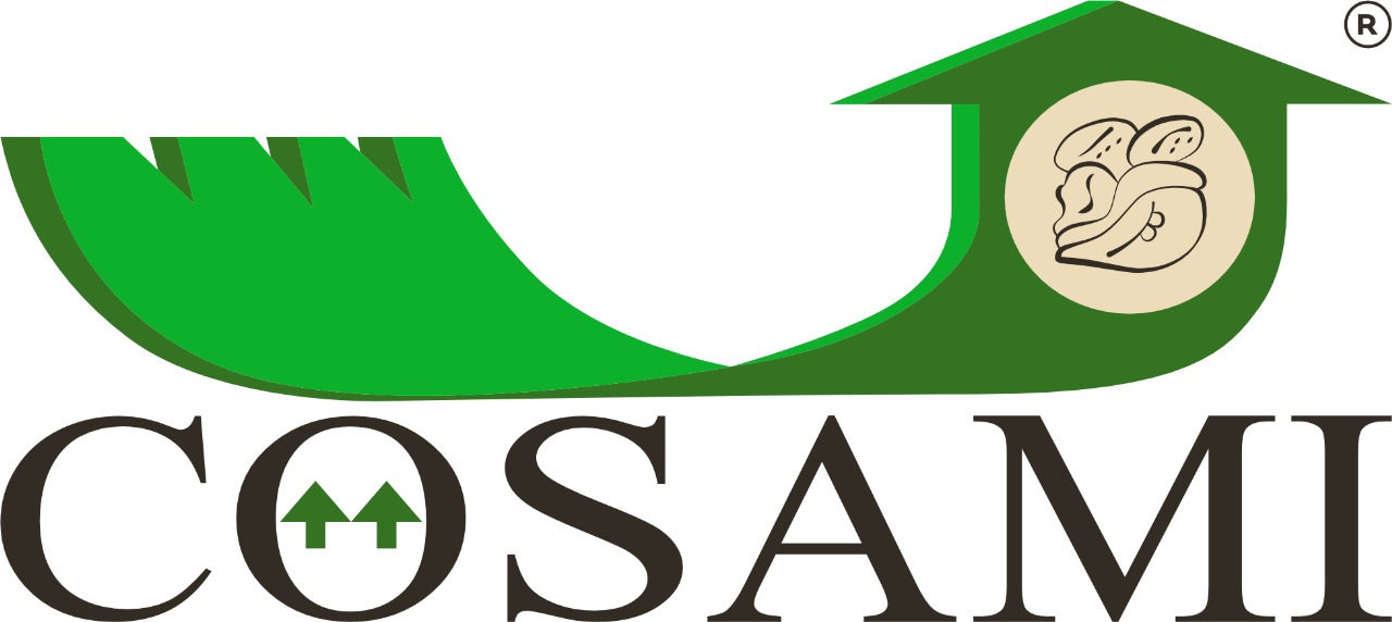 Logo Cosami
